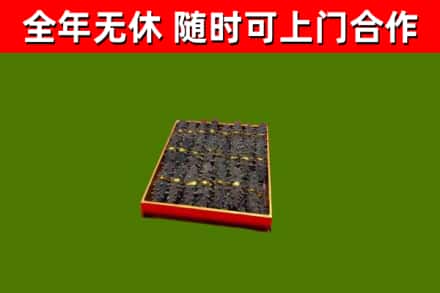 宝塔回收海参
